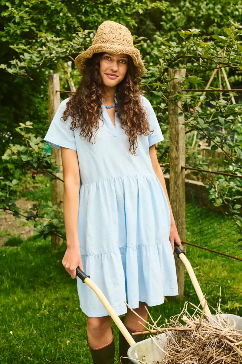 Elmiko SS Dress, Palace Blue Stripe